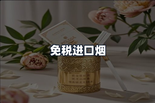 免税进口烟